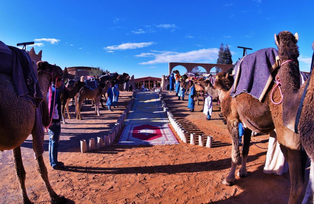 Готель Palmeras Y Dunas Luxery Camp Мерзуга Екстер'єр фото